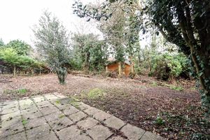 Garden- click for photo gallery